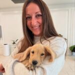 dapple dachshund puppies for sale